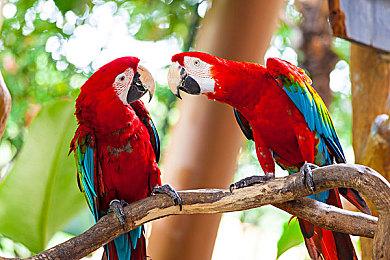 KRAFTON新作《私人军事经理》Steam抢先体验版上线